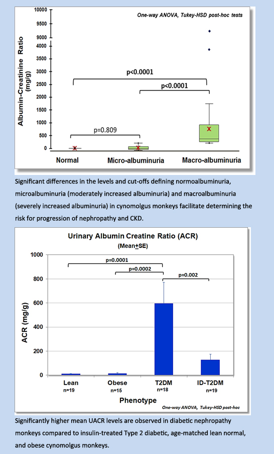 CKD-2.jpg CKD-2.jpg