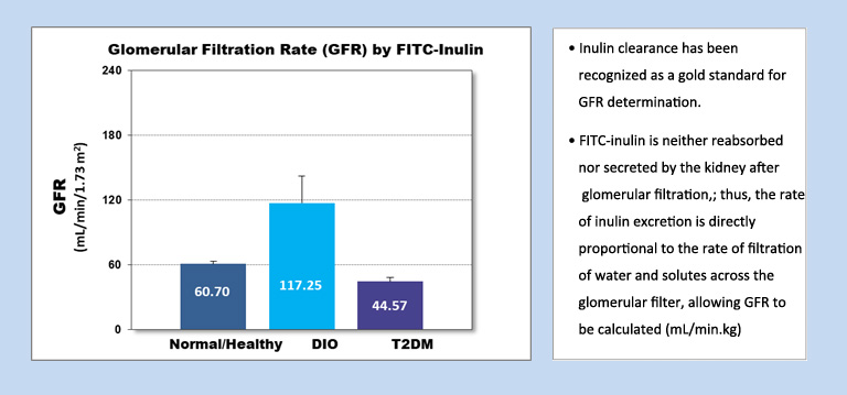 CKD-3.jpg CKD-3.jpg