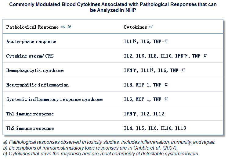 Immuno safety 3.jpg