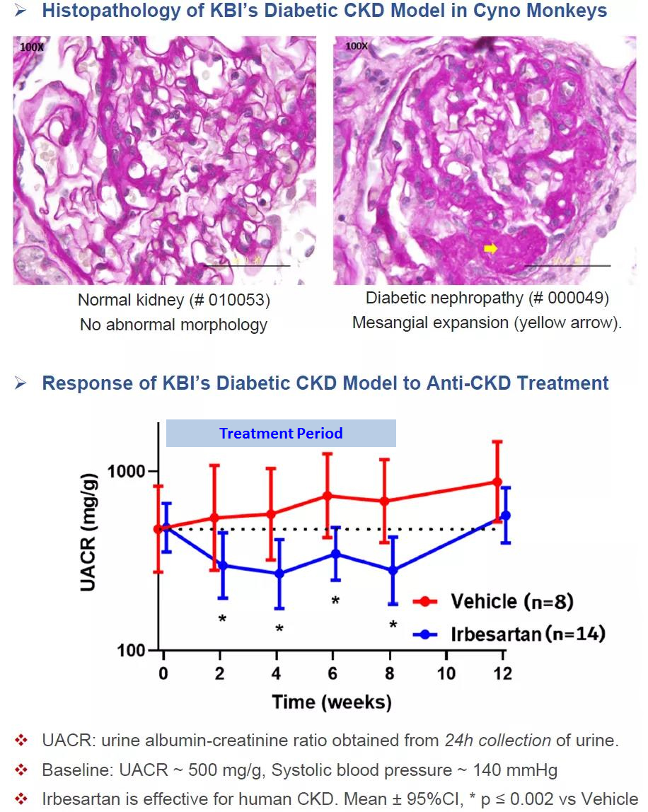 CKD-research and innnovation.jpg