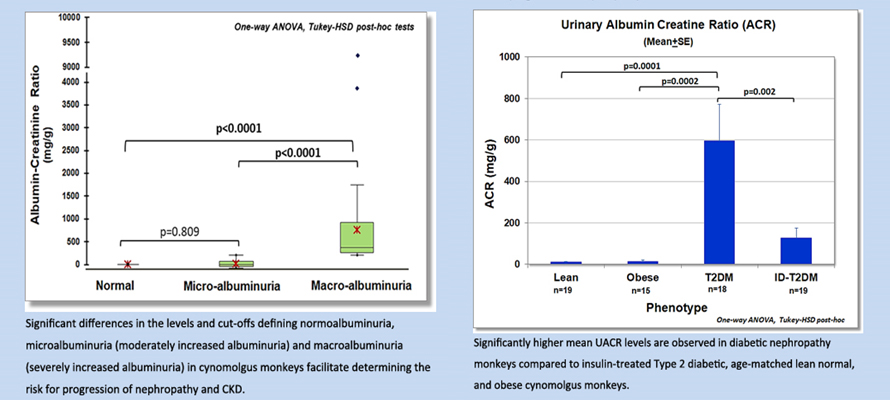 ckd 01.jpg ckd 01.jpg