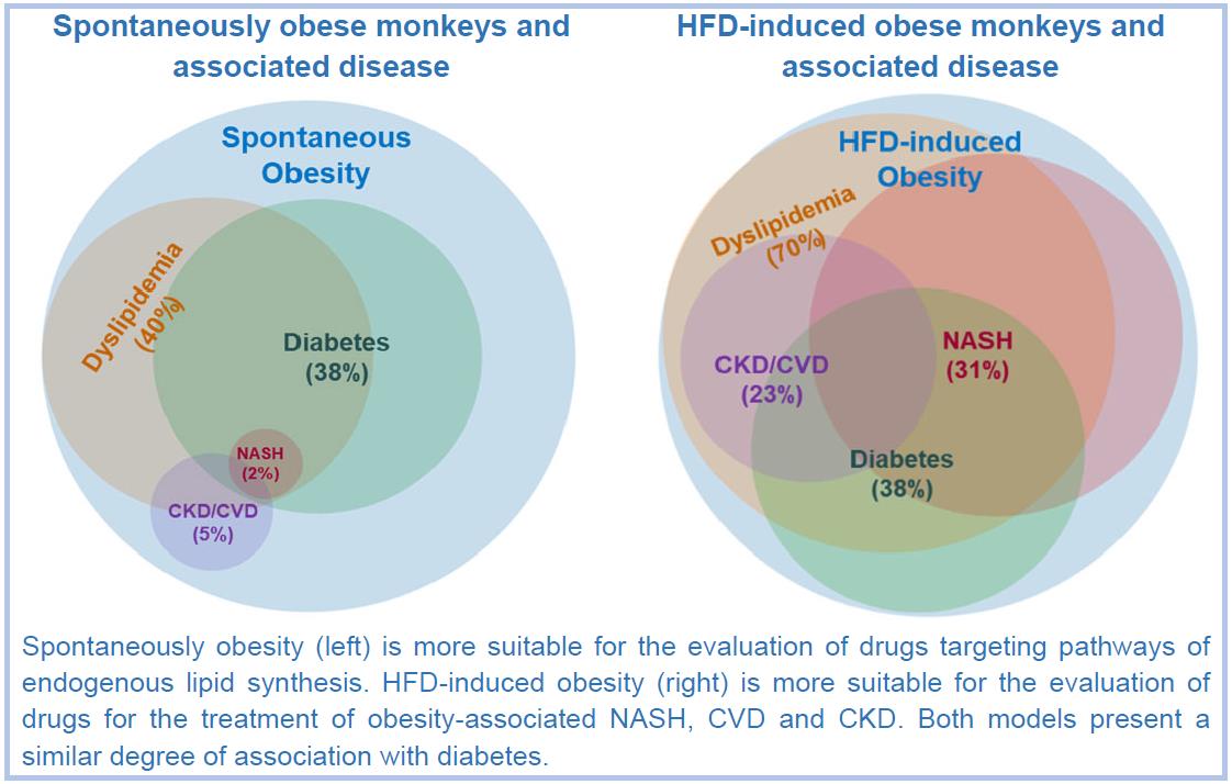 innovation-obesity.jpg