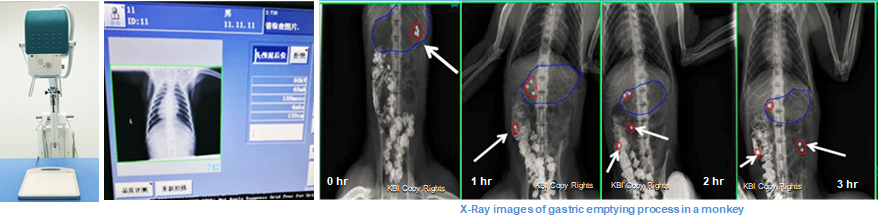 x-ray 1.jpg