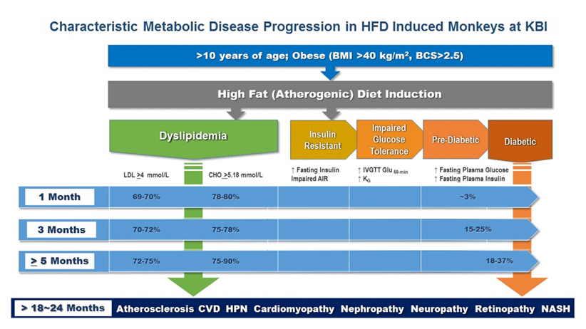 Type 2 Diabetes 2023-06-16.jpg