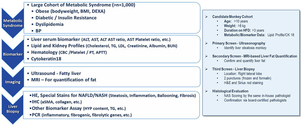 NAFLD & NASH as a metabolic disease