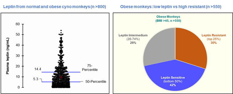 obese 02.jpg