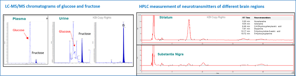 Biomarker 03.jpg