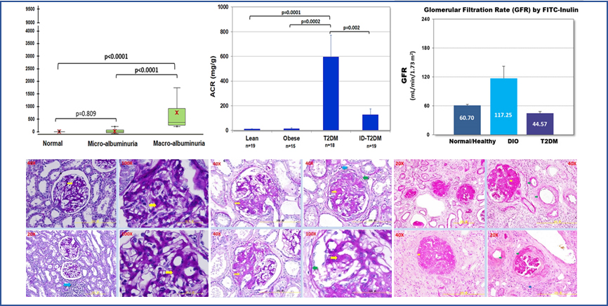 CKD-02.jpg